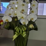 ファーイースト国際特許事務所様から当社上場のお祝いのお花をいただきました。