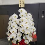 株式会社イントラスト様から当社上場のお祝いのお花をいただきました。