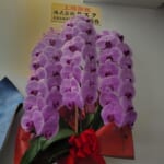 株式会社タスク様から当社上場のお祝いのお花をいただきました。